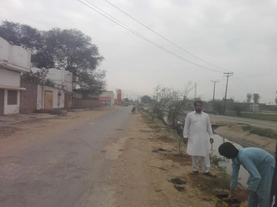 Green Seekers Activity